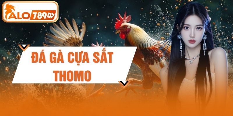 Đá Gà Cựa Sắt Thomo: Phát Sóng Trực Tiếp Kịch Tính 24/7
