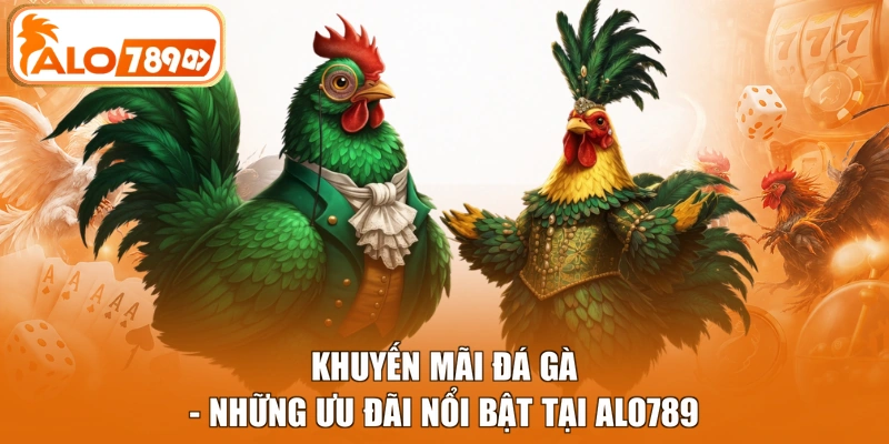 Khuyến mãi đá gà - Những ưu đãi nổi bật tại Alo789