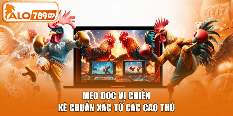 Mẹo đọc vị chiến kê chuẩn xác từ các cao thủ