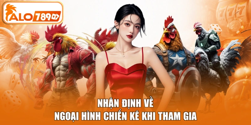 Nhận định về ngoại hình chiến kê khi tham gia